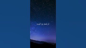 “إنك ميت وإنهم ميتون | تلاوة مؤثرة بصوت ماهر المعيقلي”
