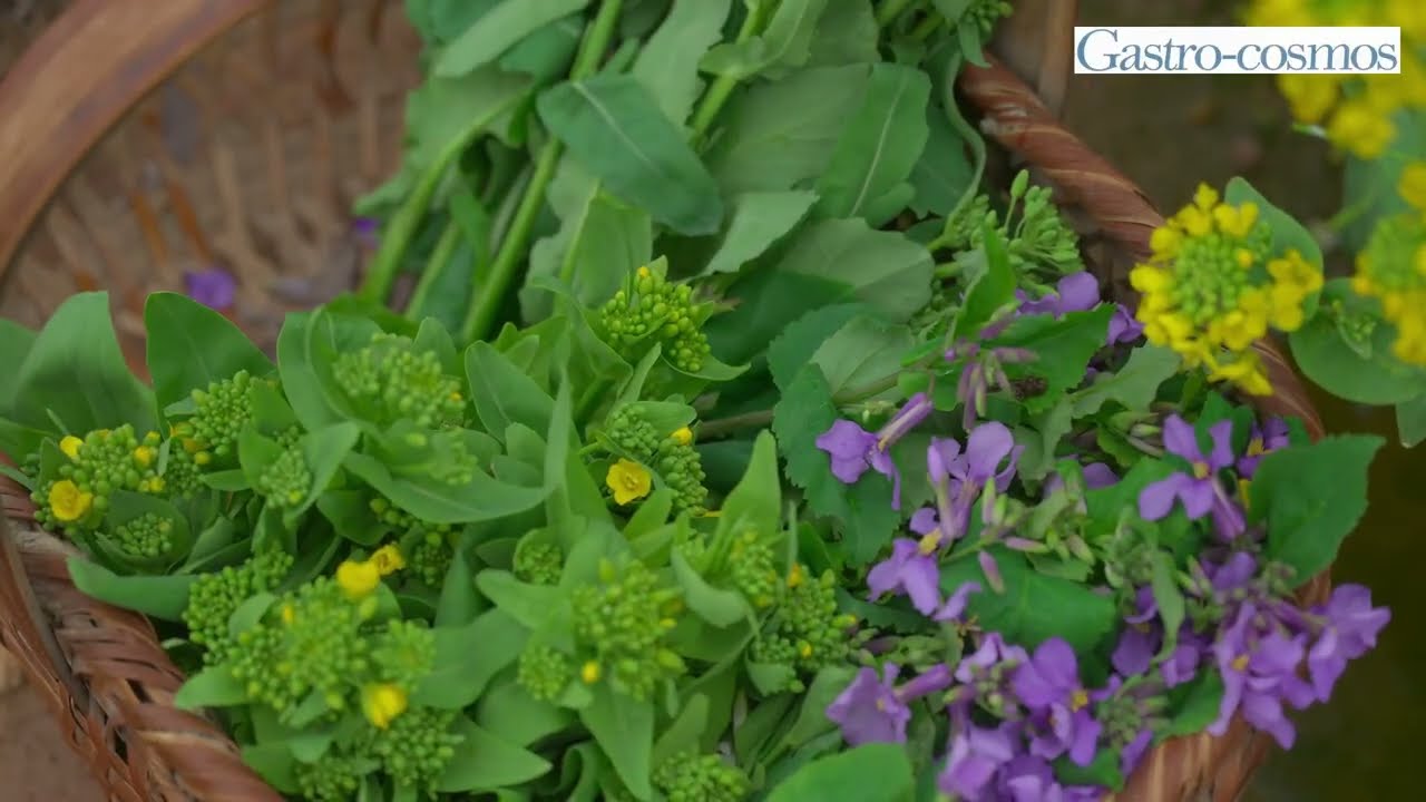 The early spring rain and tender stem mustard greens warm the heart like nothing else.