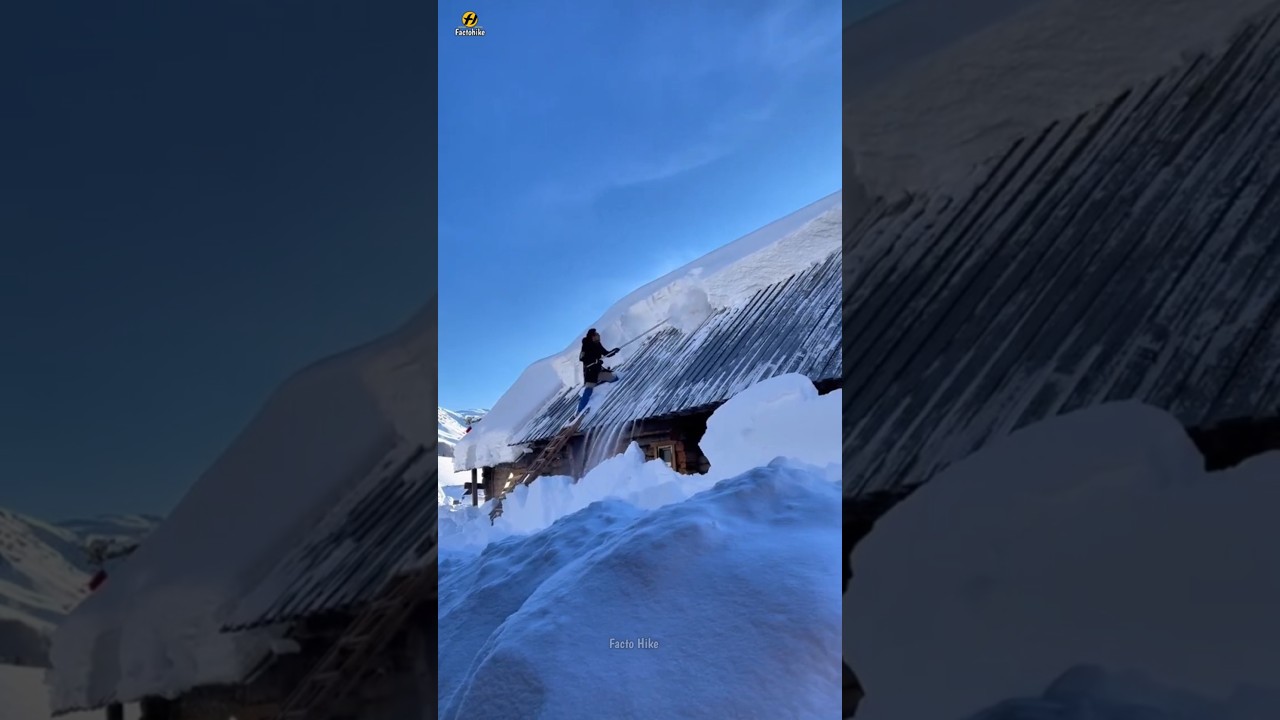 Original Title & Thumbnail