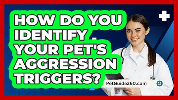 How Do You Identify Your Pet