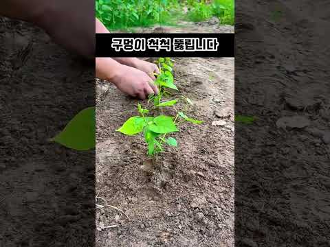 2026년 3월 31일