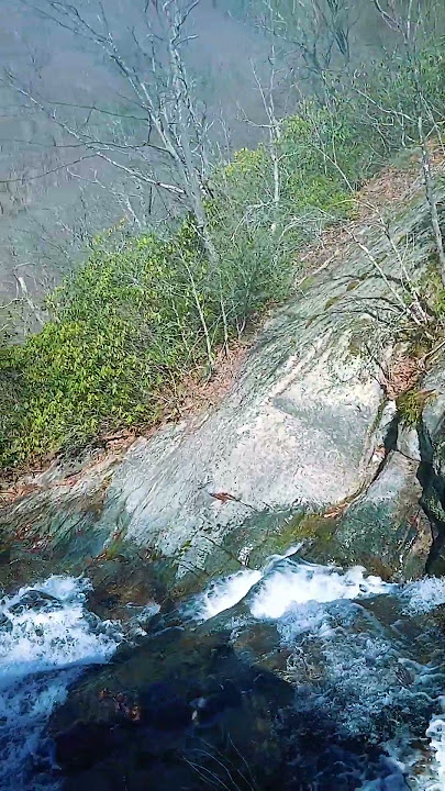 Let's all adventure fearlessly #fearless #adventure #hike