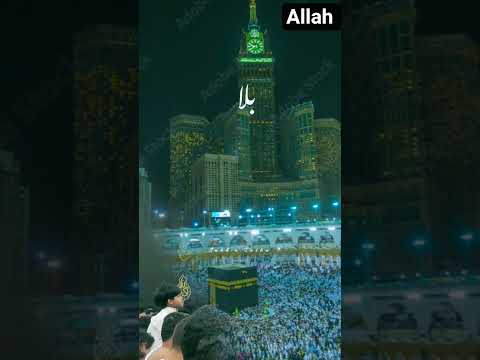 Islamic video #love 😍💖❤❤💚💖#video #viral #shorts