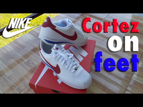 cortez basic ncxl