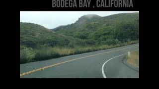 Trip to Bodega Bay // summer16