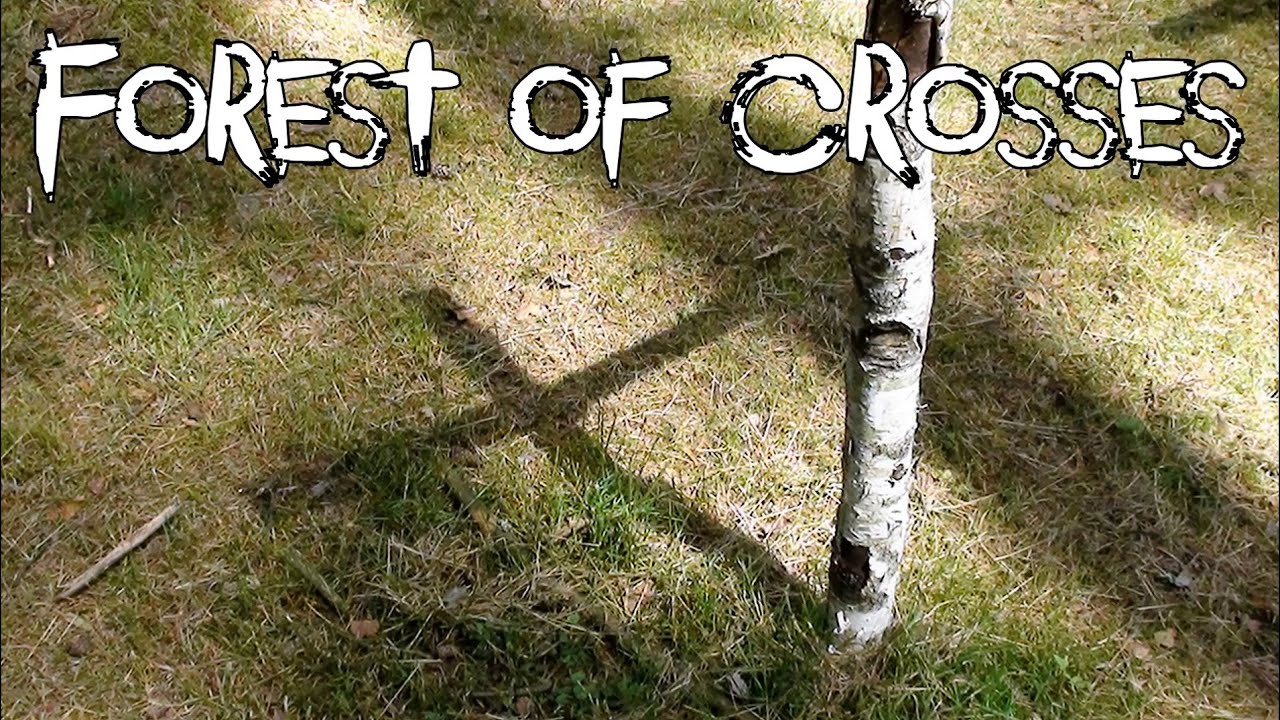 Stalag 302 Rederitz Prisoner of War Cemetery / Cmentarz jeńców wojennych Stalagu 302 Rederitz