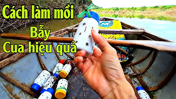 Cách Làm Mồi Bẫy Cua | Huy vlog trải nghiệm một ngày trên sông