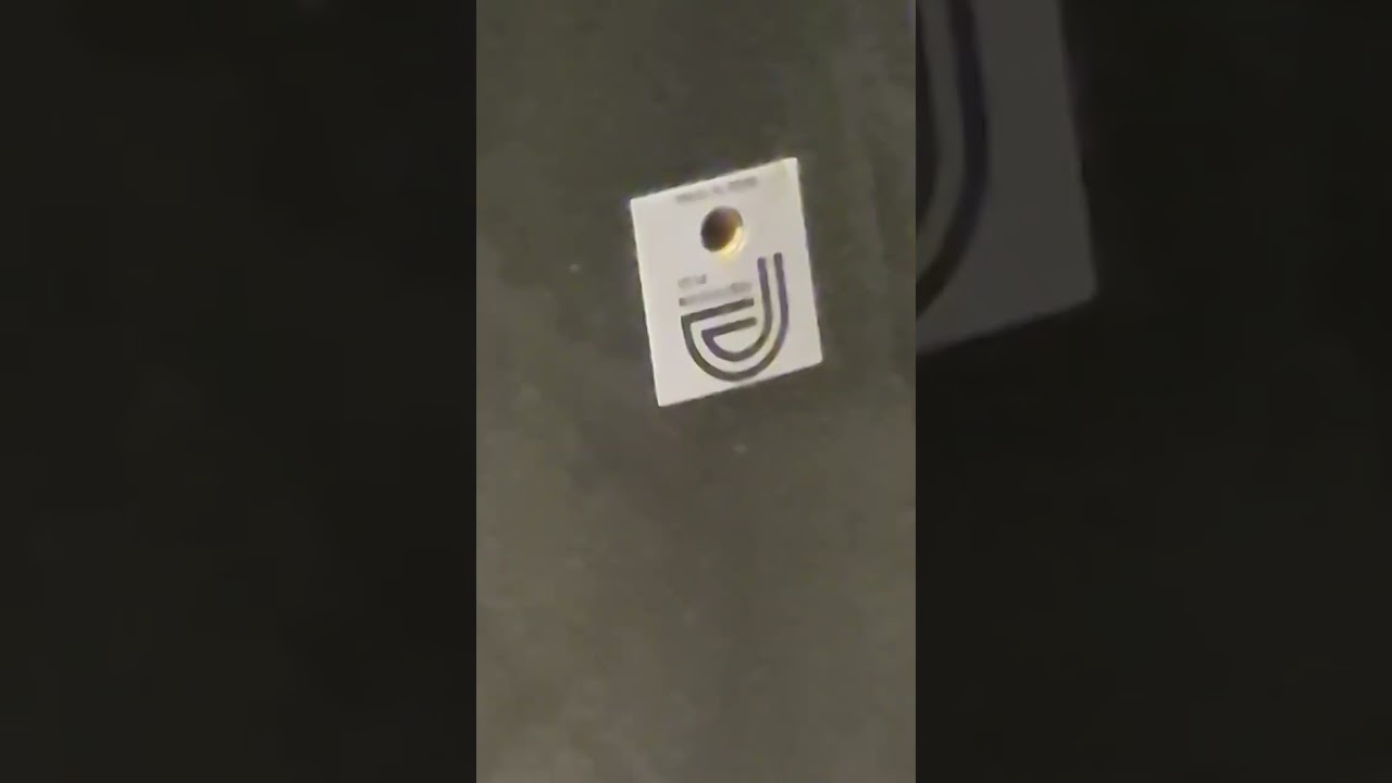 Somthing is living with me 