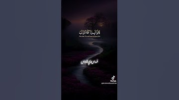 قرآن كريم الشيخ سيد سعيد #اكسبلور #quranismylife