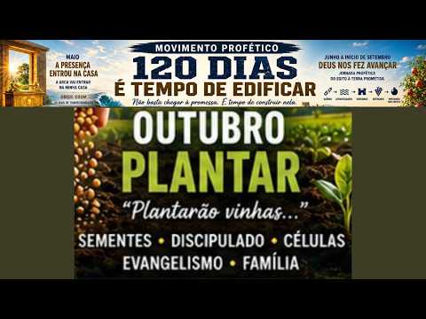 DOMINGO MANHÂ 11/10/26