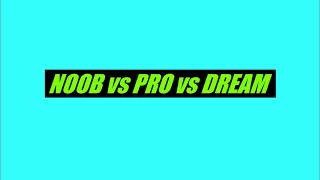 Noob Vs Pro Vs Dream