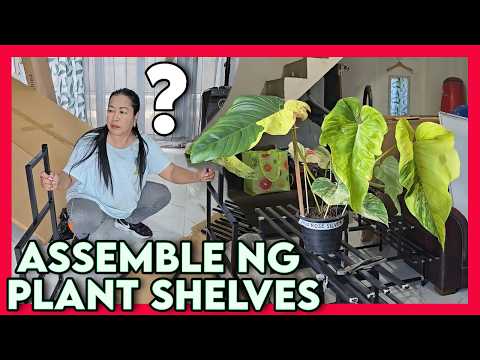 Unboxing and Installation of Plant Shelves from Online Store