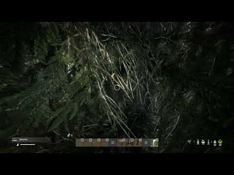 DayZ: A "DayZ" day