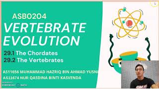 Vertebrate Evolution (The Vertebrates & The Chordates)