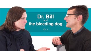 Dr. Bill and the bleeding dog - Ep. 6