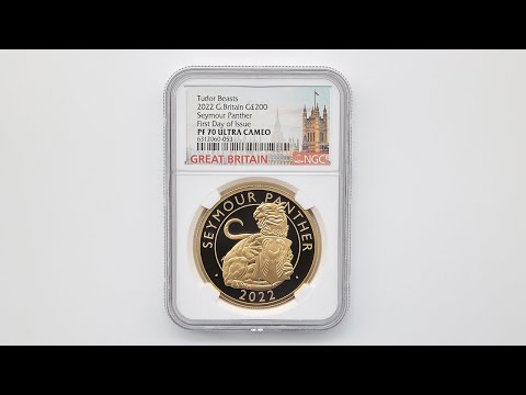 2022 英国 テューダー朝の紋章の獣コレクション シーモアパンサー（豹