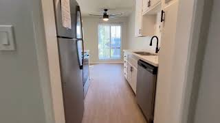245 Serrano 1 Bed 1 Bath