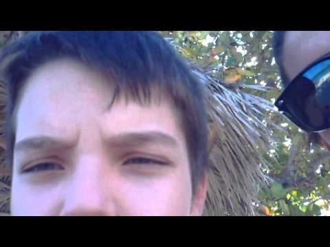 MPEG0066