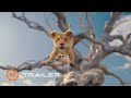 Mufasa: The Lion King - Teaser Trailer (2024) - Aaron Pierre, Kelvin Harrison Jr., Tiffany Boone