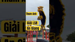 Ma Ln Qu nh on Thum Anh Tp Ln Nhy Mai Hoa Thung Thi Gii Lsr An Giang 2026  mualan