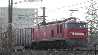 レッドサンダーEF510-8牽引高速貨物【4K】信越本線上り4076レ