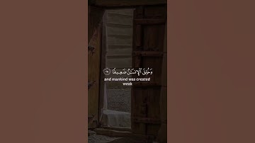 وَاللَّهُ يُرِيدُ أَن يَتُوبَ عَلَيْكُمْ القارئ علي جابر #حالات_واتس