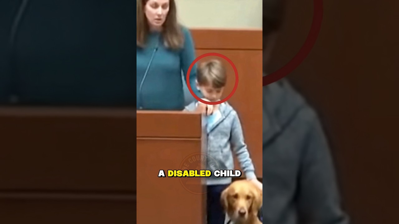 School Cited a Disabled Child’s Service Dog !! Judge Restores Dignity 🫡