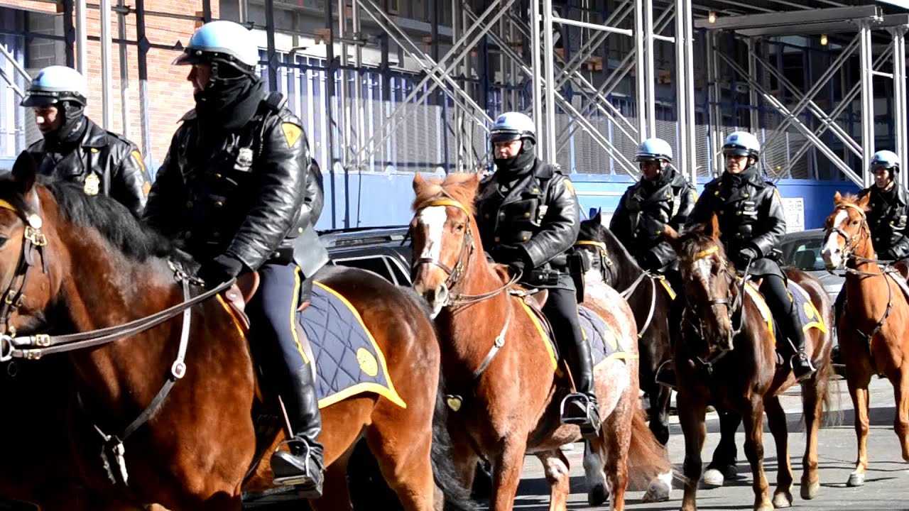NYPD Mounted Unit Horse patrol YouTube