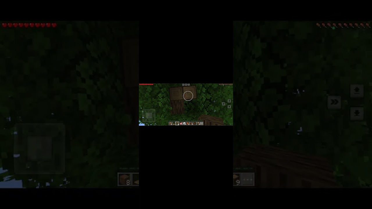 My Minecraft game video part 1
