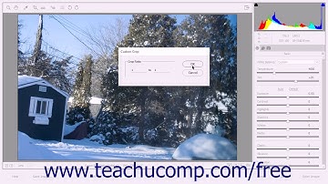 Photoshop Elements 15 Tutorial Camera Raw Tools Adobe Training