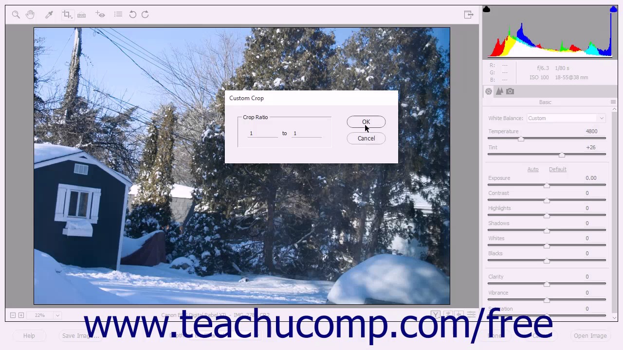 Photoshop Elements 15 Tutorial Camera Raw Tools Adobe Training - YouTube