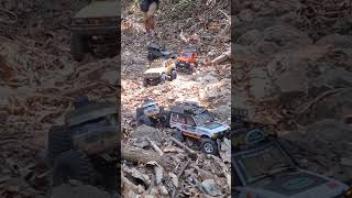 micro crawlers on 1/10 trails.