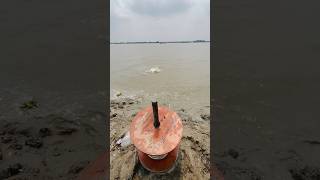 Catching Giant Fish in the Wild Sundarbans with Hook and Line!#amazing #fishing #villagelife #foryou