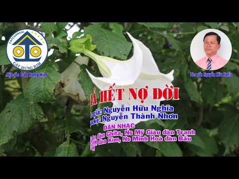 Video Karaoke Vọng cổ: TRẢ HẾT NỢ ĐỜI - Dây Kép - Tác giả:... - youtube