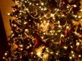 Christmas Tree Video 001.MOV