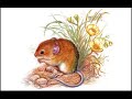 Бабушкины сказки на ночь : Новогодняя сказка про мышонка