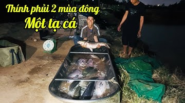 Câu lục. Khai trương hồ câu Ải Quang Bắc Giang bắt 1 tạ cá thính phủi 2 mùa đông. Fishing
