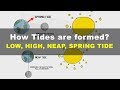 Tides Unveiled: The Gravitational Dance of Earth, Moon, and Sun