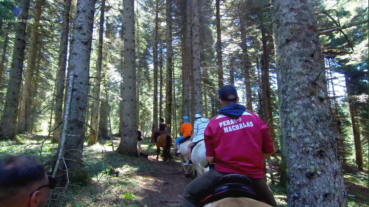 Ορεινά βουνά τρικάλων Περτούλι, Αγία Κυριακή-Λειβάδι Περτουλίου Ιππασία-Κορυφή Κόζιακας