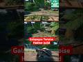 How I build a Galapagos Tortoise Habitat #planetzoo #shorts #fypシ