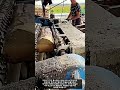 통나무 껍질 벗기기 자동화 공정 #worker #workers