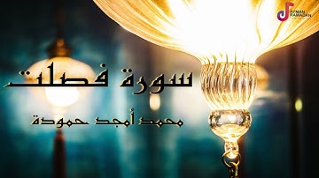 سورة فصلت - محمد أمجد حمودة