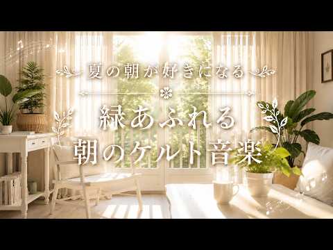 【ひだまりBGM・ケルト音楽】夏の朝が好きになる🌿緑あふれる朝のケルト音楽｜Warm Celtic BGM｜朝のBGM　休日BGM　カフェBGM　作業用BGM