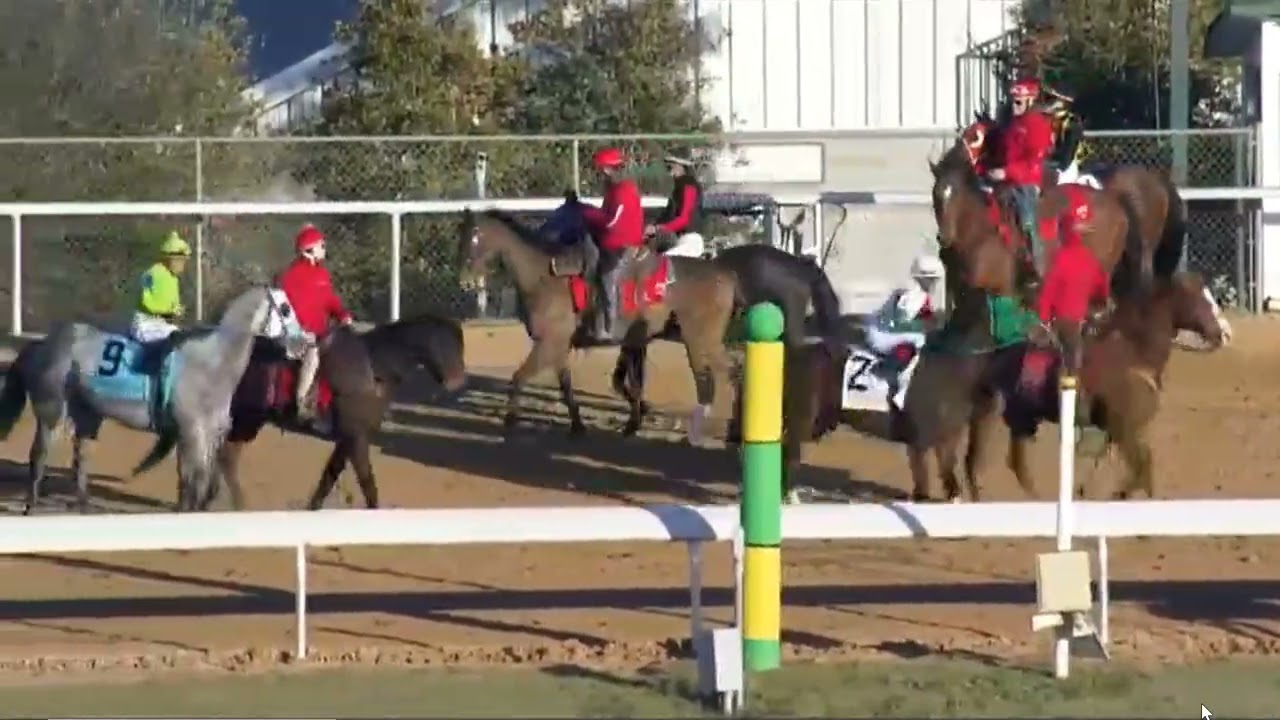 OAKLAWN PARK RACE -9 -  05 FEB 2026