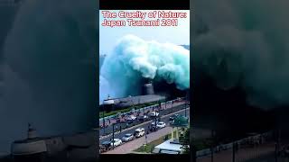 The Cruelty of Nature: Japan Tsunami 2011