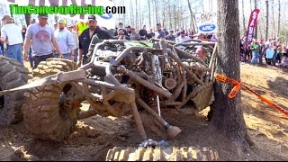 TIM CAMERON RIPS TIRE OFF MONEY MAKER   FULLY COMMITTED