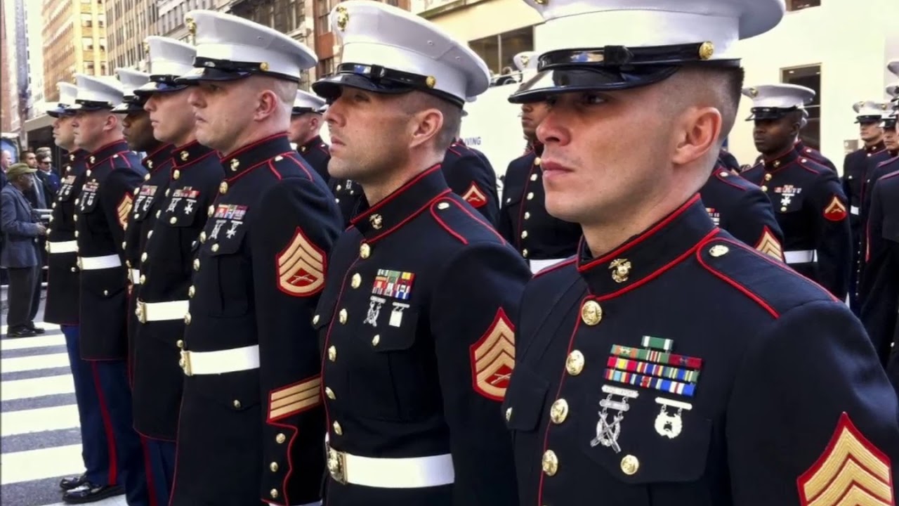 Veterans Day Video teachers YouTube