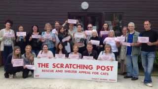 The Scratching Post Support Adoption For Pets Video
