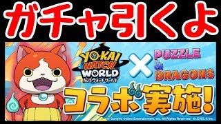 【パズドラ】妖怪ウォッチガチャ　いっぱい引くよ