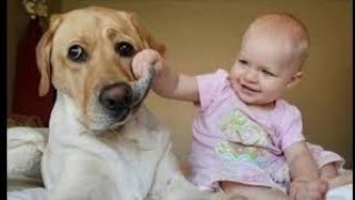 FUN CHALLENGE: Try NOT to laugh - Funny \& cute dogs and kids